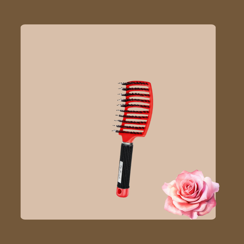 BROSSE A CHEVEUX